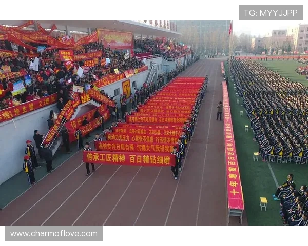 十连胜掀风云权纯雨连夺桂冠用实力宣告仍可再战不老斗志震撼赛场