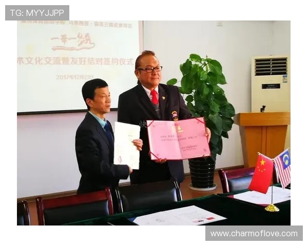 南亚体育发展现状与未来趋势探析 促进区域合作与文化交流