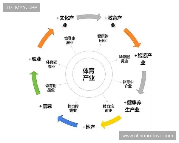 以中央体育为核心推动全民健身事业发展促进体育产业与健康产业融合创新